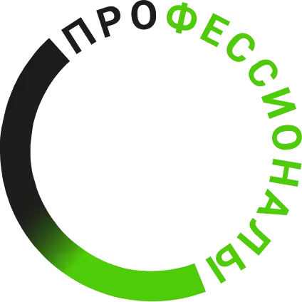 Чемпионат по профессиональному мастерству «Профессионалы» 2025-2026