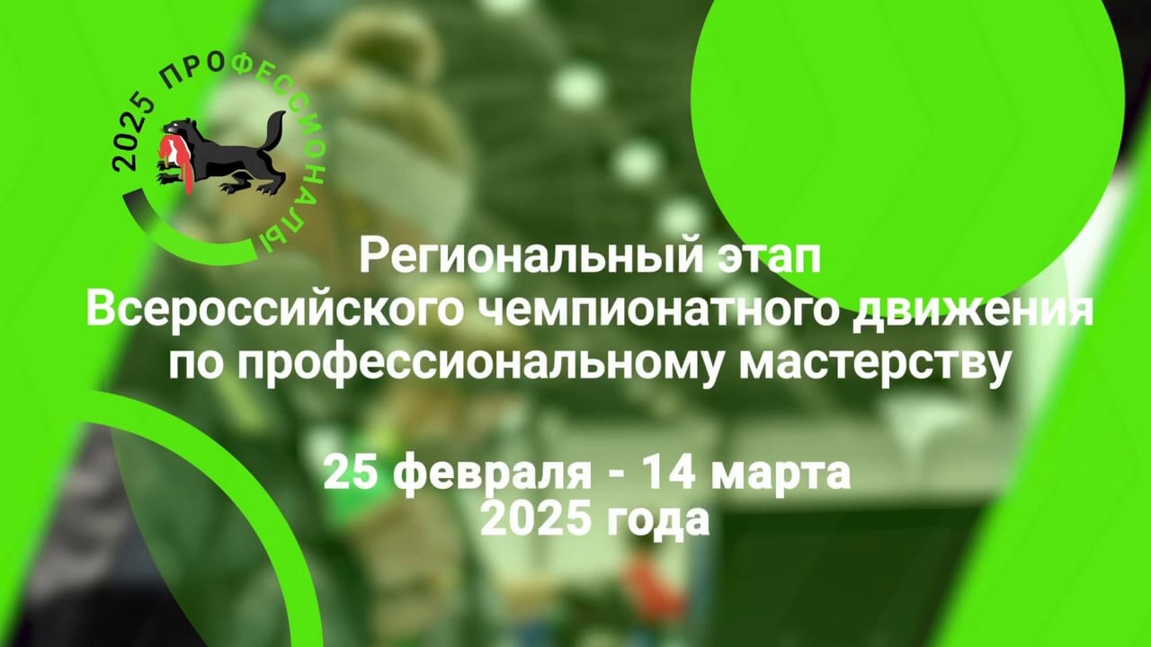 Чемпионат по профессиональному мастерству «Профессионалы»"